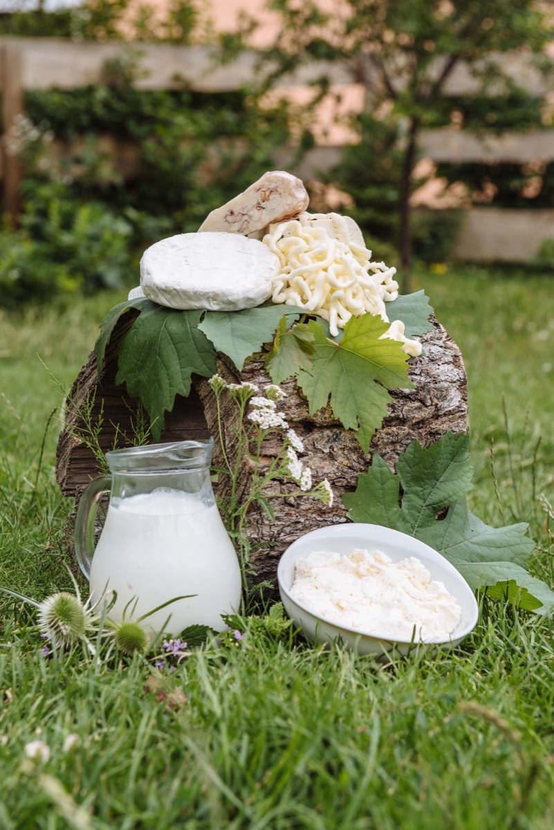 Laitages & Fromages