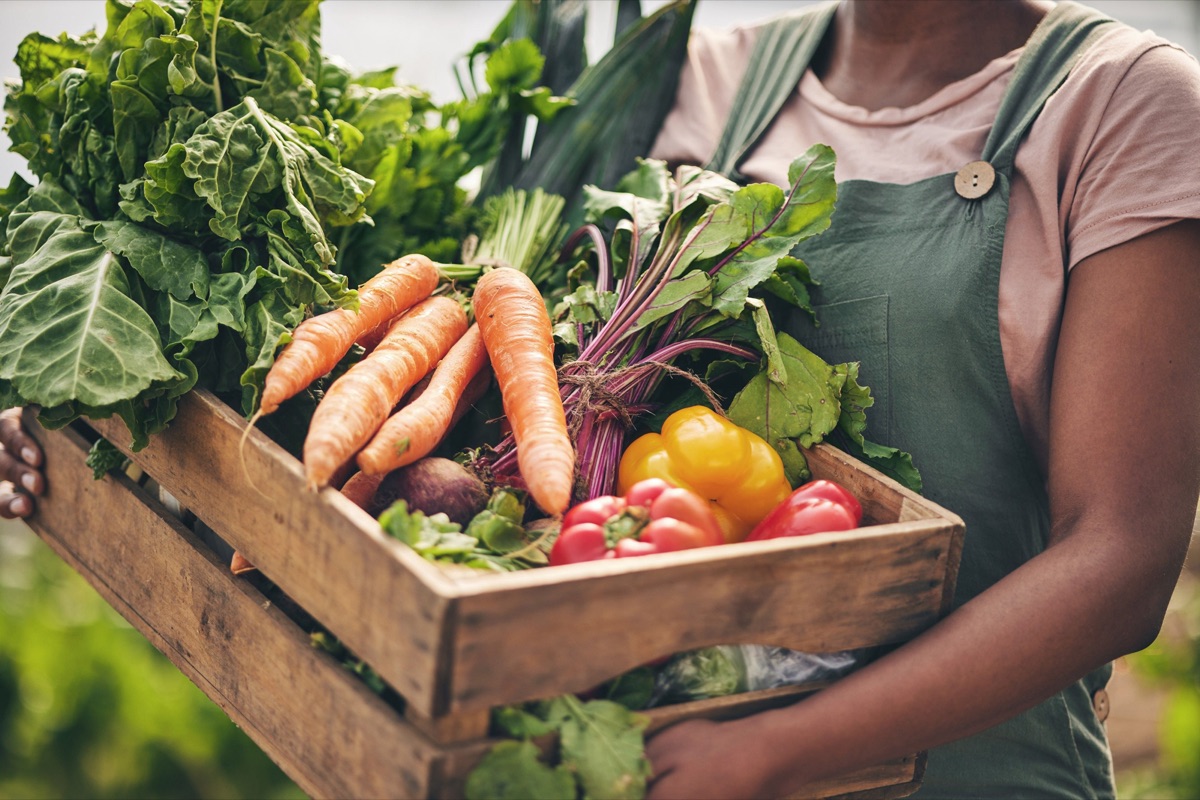 Légumes frais